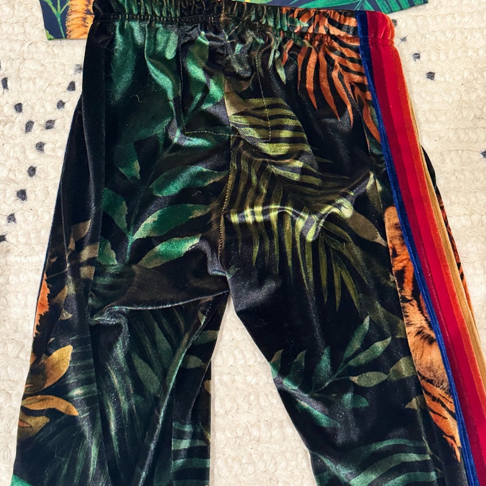 Aviator Nation Green Velvet Tiger-Print Jogger Set - Picture 6 of 15